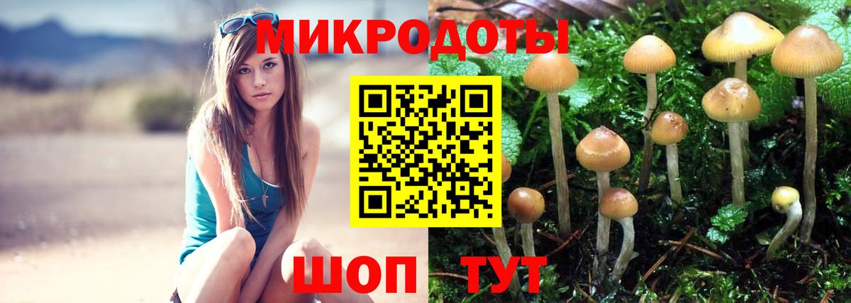 Псилоцибиновые грибы GOLDEN TEACHER  Псилоцибиновые грибы Psilocybine cubensis  Вход с VPN  Благовещенск 